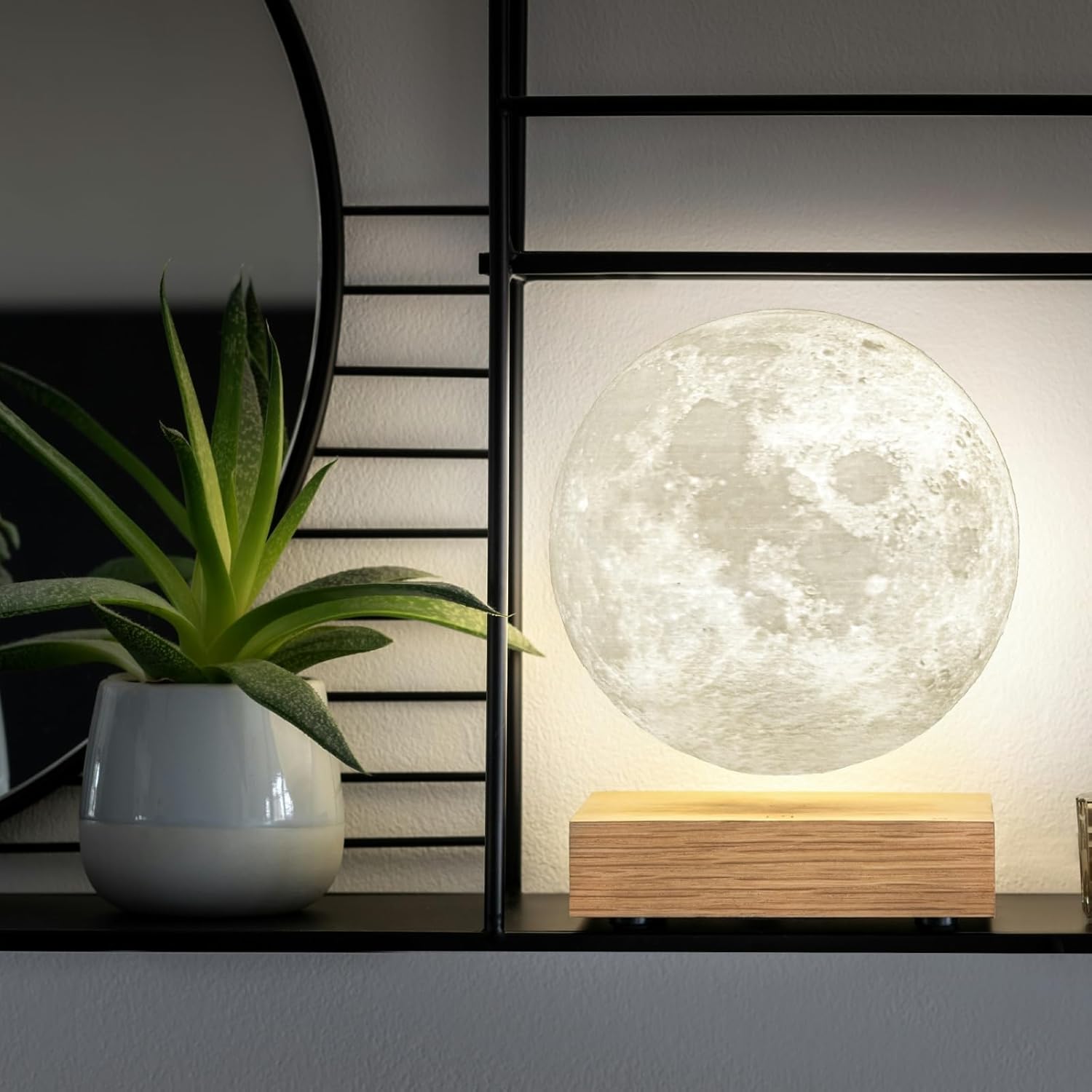 floating moon lamp gingko