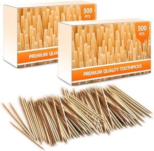 1000 Pieces Premium Bamboo Wooden Toothpicks