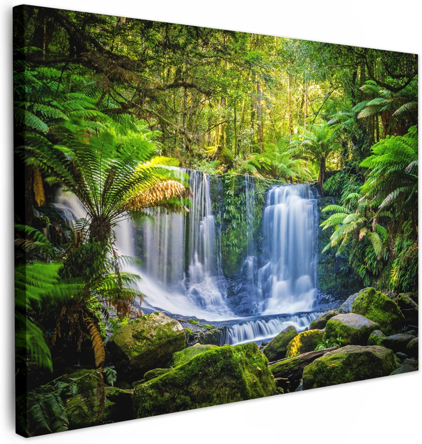 australia jungle canvas