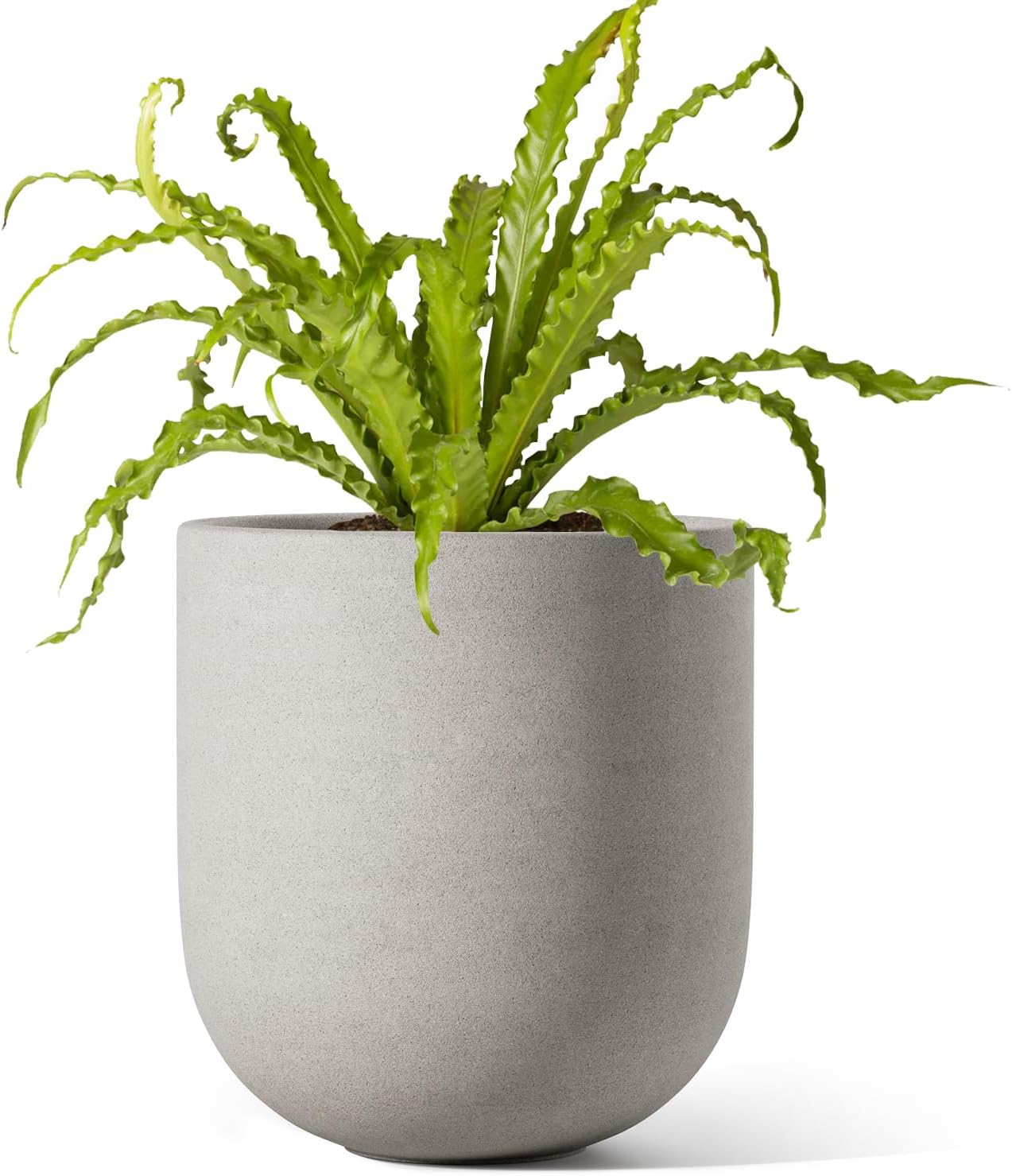 LE TAUCI grey plant pot