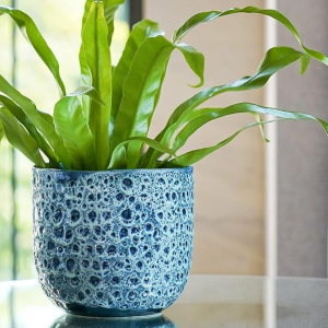 Ivyline reactive plant pot